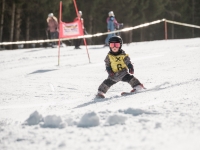 2026_03-vereinsmeisterschaften-skiklub-goe295a0etzens-021