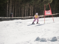 2026_03-vereinsmeisterschaften-skiklub-goe295a0etzens-022