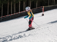 2026_03-vereinsmeisterschaften-skiklub-goe295a0etzens-027