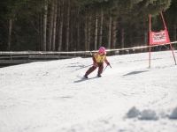 2026_03-vereinsmeisterschaften-skiklub-goe295a0etzens-028