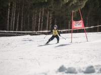 2026_03-vereinsmeisterschaften-skiklub-goe295a0etzens-032