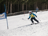 2026_03-vereinsmeisterschaften-skiklub-goe295a0etzens-037