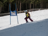 2026_03-vereinsmeisterschaften-skiklub-goe295a0etzens-053