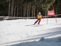 2026_03-vereinsmeisterschaften-skiklub-goe295a0etzens-055