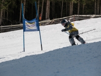 2026_03-vereinsmeisterschaften-skiklub-goe295a0etzens-058