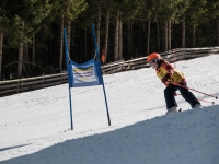 2026_03-vereinsmeisterschaften-skiklub-goe295a0etzens-064