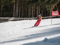 2026_03-vereinsmeisterschaften-skiklub-goe295a0etzens-065