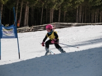 2026_03-vereinsmeisterschaften-skiklub-goe295a0etzens-068