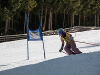 2026_03-vereinsmeisterschaften-skiklub-goe295a0etzens-072