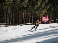 2026_03-vereinsmeisterschaften-skiklub-goe295a0etzens-076