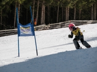 2026_03-vereinsmeisterschaften-skiklub-goe295a0etzens-077