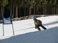 2026_03-vereinsmeisterschaften-skiklub-goe295a0etzens-079