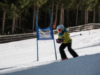 2026_03-vereinsmeisterschaften-skiklub-goe295a0etzens-082