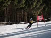 2026_03-vereinsmeisterschaften-skiklub-goe295a0etzens-095