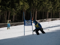 2026_03-vereinsmeisterschaften-skiklub-goe295a0etzens-098