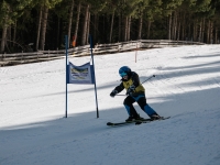 2026_03-vereinsmeisterschaften-skiklub-goe295a0etzens-104