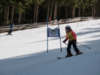 2026_03-vereinsmeisterschaften-skiklub-goe295a0etzens-108