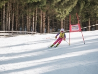 2026_03-vereinsmeisterschaften-skiklub-goe295a0etzens-115