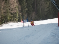 2026_03-vereinsmeisterschaften-skiklub-goe295a0etzens-117