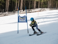 2026_03-vereinsmeisterschaften-skiklub-goe295a0etzens-127