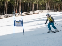 2026_03-vereinsmeisterschaften-skiklub-goe295a0etzens-129