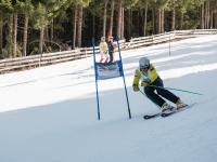 2026_03-vereinsmeisterschaften-skiklub-goe295a0etzens-169