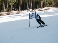 2026_03-vereinsmeisterschaften-skiklub-goe295a0etzens-205