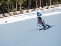 2026_03-vereinsmeisterschaften-skiklub-goe295a0etzens-211