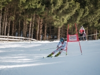 2026_03-vereinsmeisterschaften-skiklub-goe295a0etzens-212